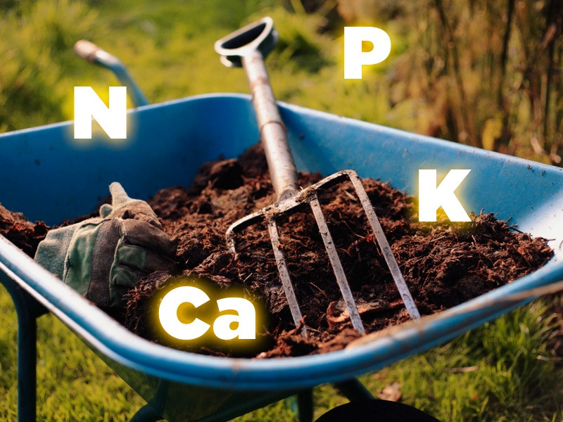 Органика для выращивания конопли Органические удобрения для выращивания конопли