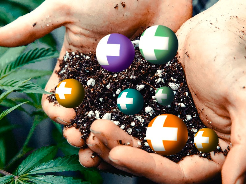 Удобрения для выращивания больших бошек конопли Удобрения и добавки для конопли