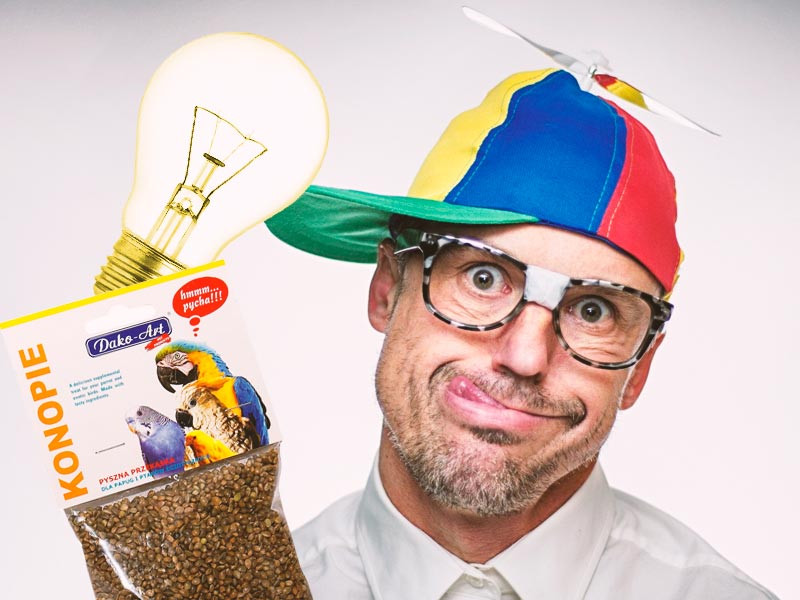 Советы для новичков в выращивании конопли Новички в выращивании конопли