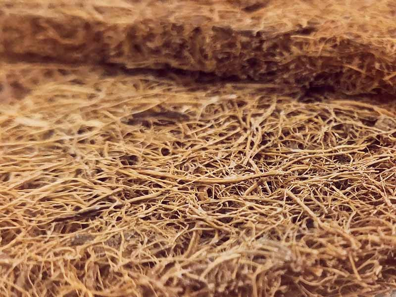 Семена каннабиса и кокосовое волокно