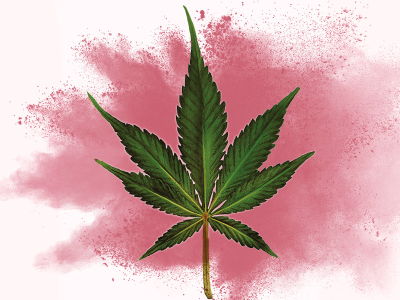 Лист Индики Лист от индичной конопли (индика)